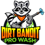 Dirt Bandit Pro Wash